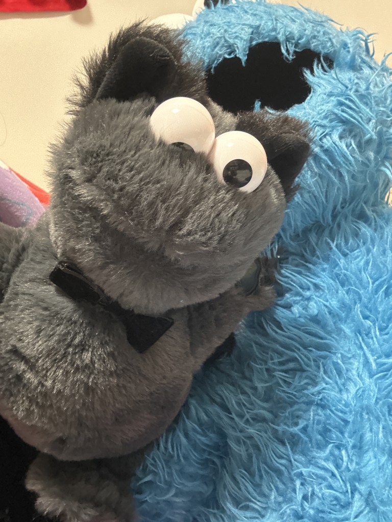 ぬいぐるみS クッキーモンスター キャット(ぬいぐるみ)｜SESAME