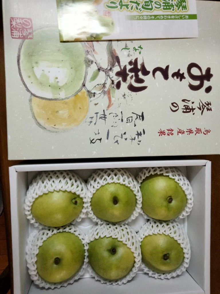 鳥取県産 ハウス二十世紀梨 6玉: 全農とっとり JAタウン店|【JA