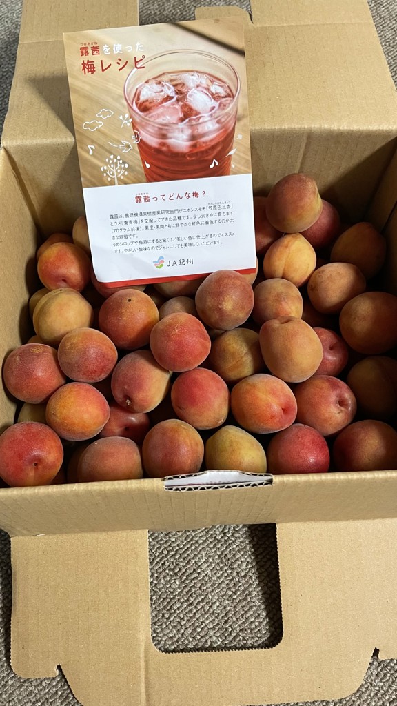 露茜 2㎏（3L～2L）: ココ・カラ。和歌山マルシェ|【JAタウン】産地