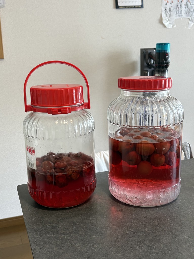 露茜 2㎏（3L～2L）: ココ・カラ。和歌山マルシェ|【JAタウン】産地