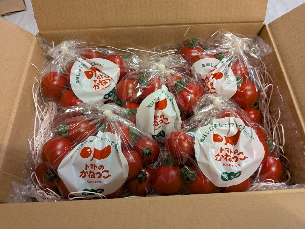 トマトのかねっこ】朝採れミニトマト: JA全農かながわ|【JAタウン