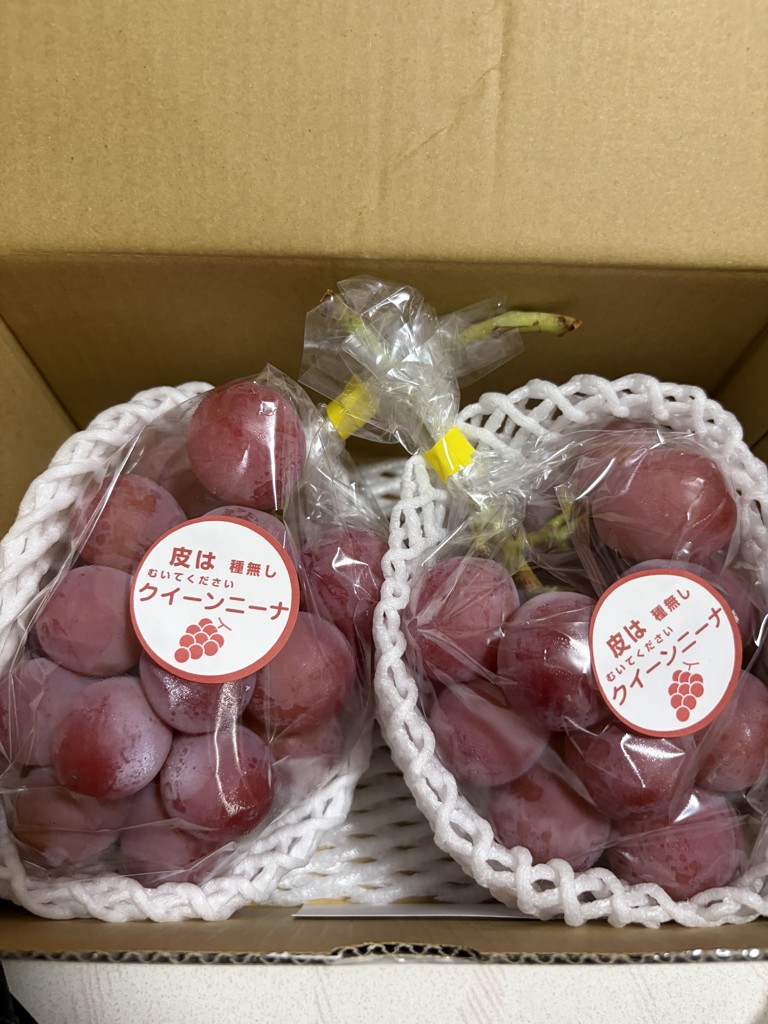 岡山県産 クイーンニーナ2～3房詰（約1.2㎏）8月下旬頃～10月上旬