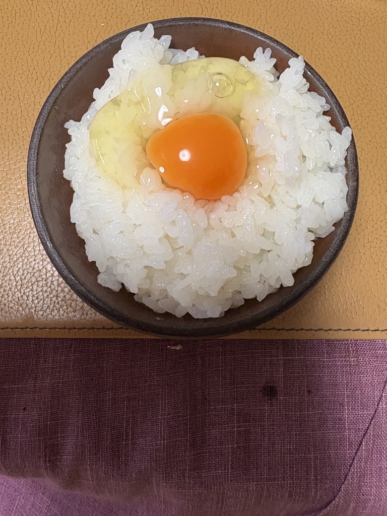 新米】玄米コシヒカリ10Kg＿福井県産＜令和7年産＞: 越前わかさ味浪漫