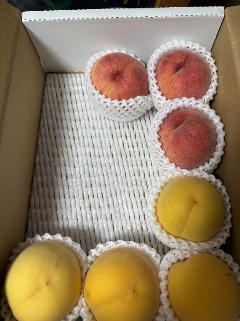 山形県産白桃＆黄桃詰め合わせ 約3kg（8～12玉）秀品 ※8月下旬以降発送