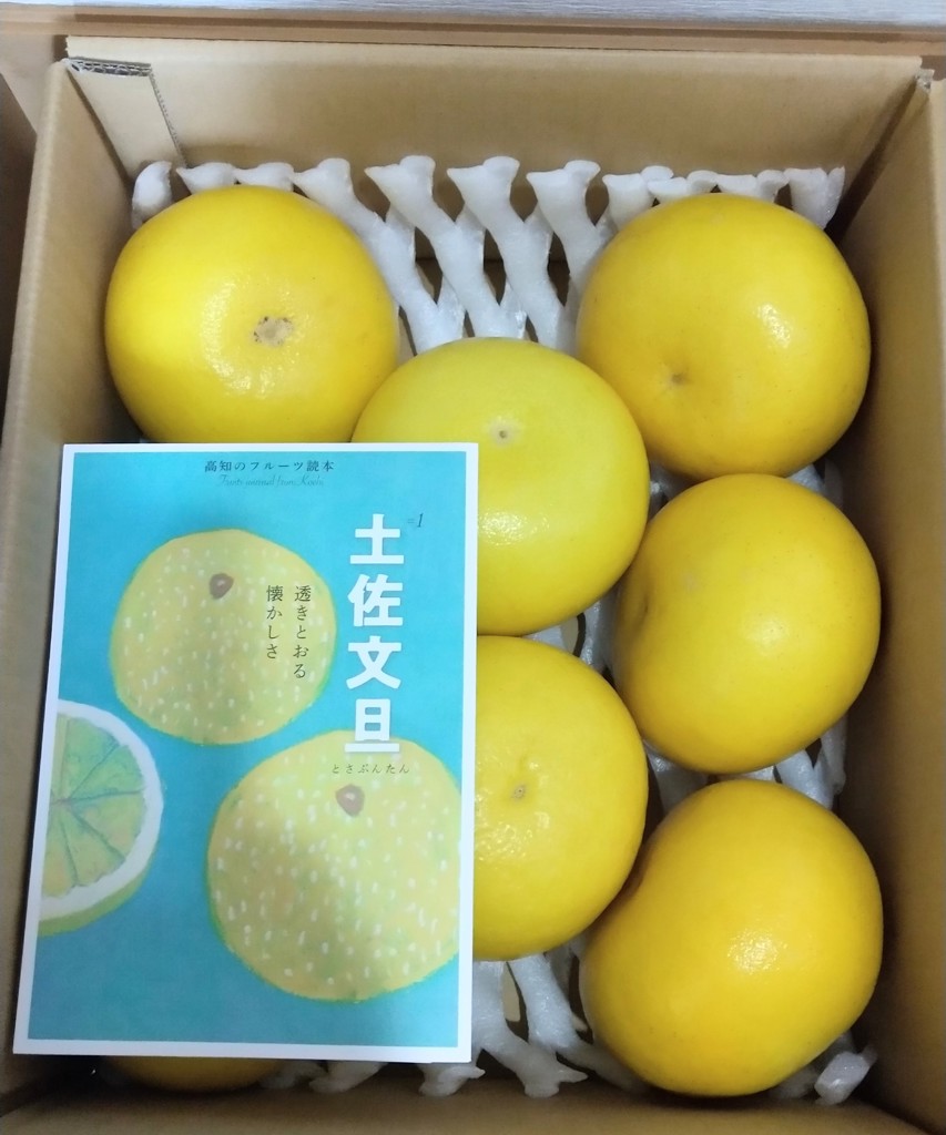 特選　土佐文旦　10k 05 楽天市場】文旦 土佐文旦 特大5Lサイズ 大玉 限定 ご家庭用 約