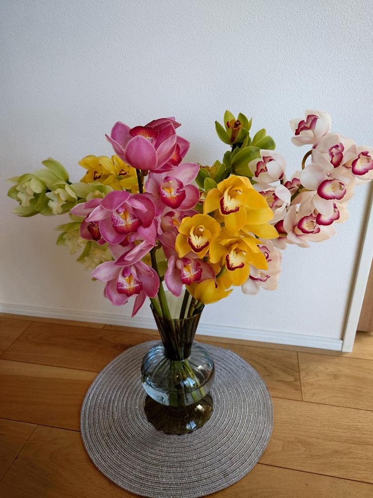 シンビジウム3色ミックス6本入（切り花）送料込み: 新鮮大好き徳島