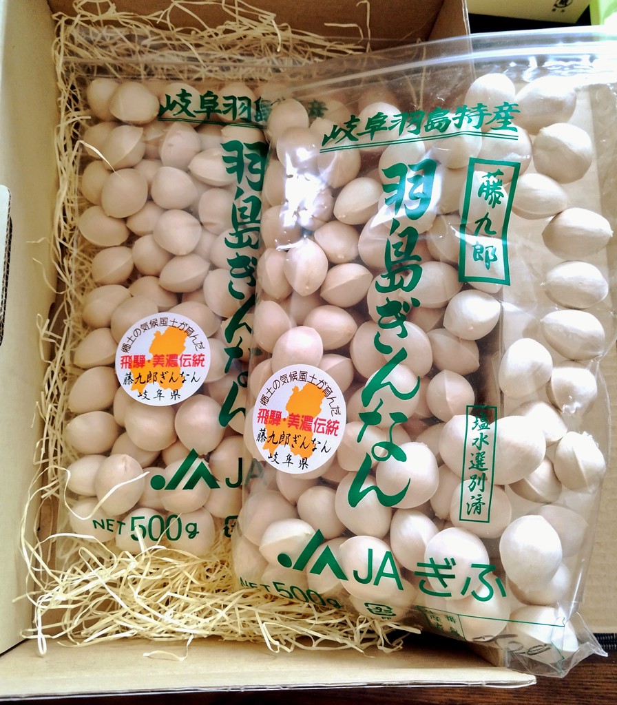 藤九郎銀杏 3L( 500g)×2袋: JAぎふ 清流ぎふの恵み|【JAタウン