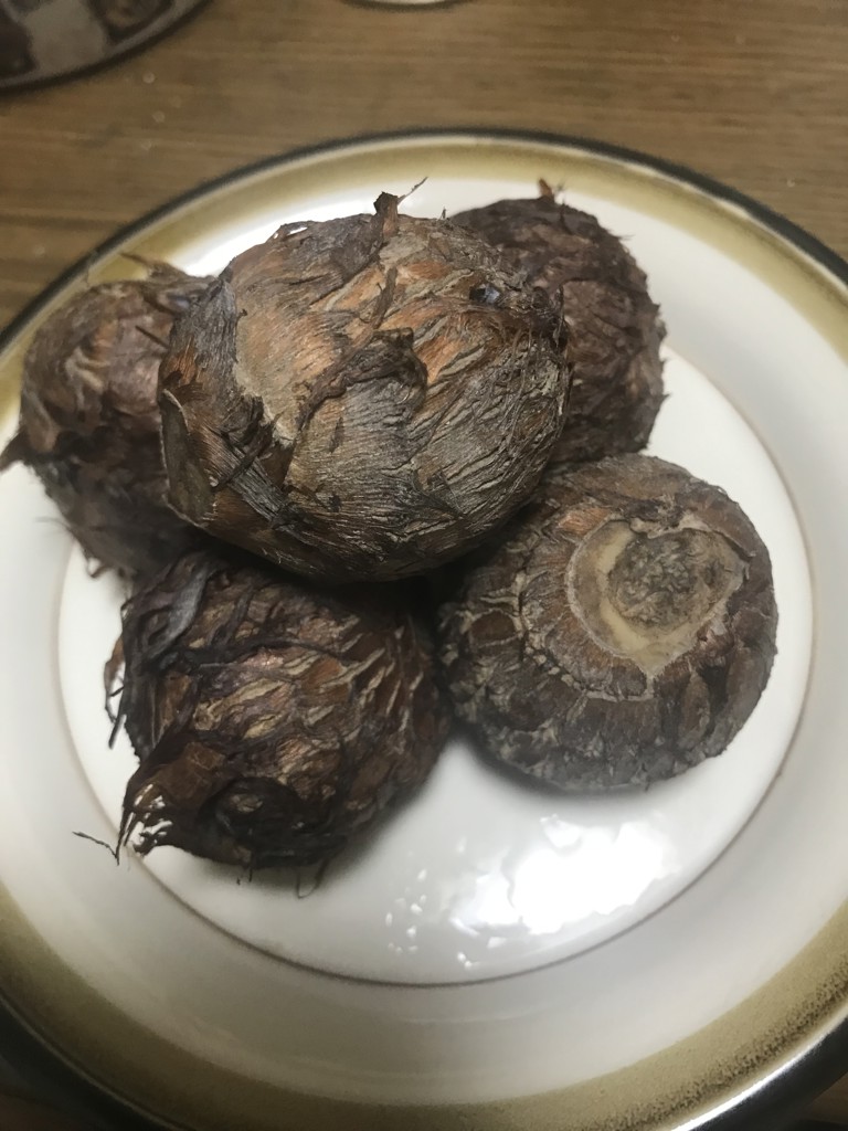 小芋（ご確認用） 楽天市場】安納芋 安納紅 プチ 5kg 訳あり 種子島 4s ちびころ 無農薬