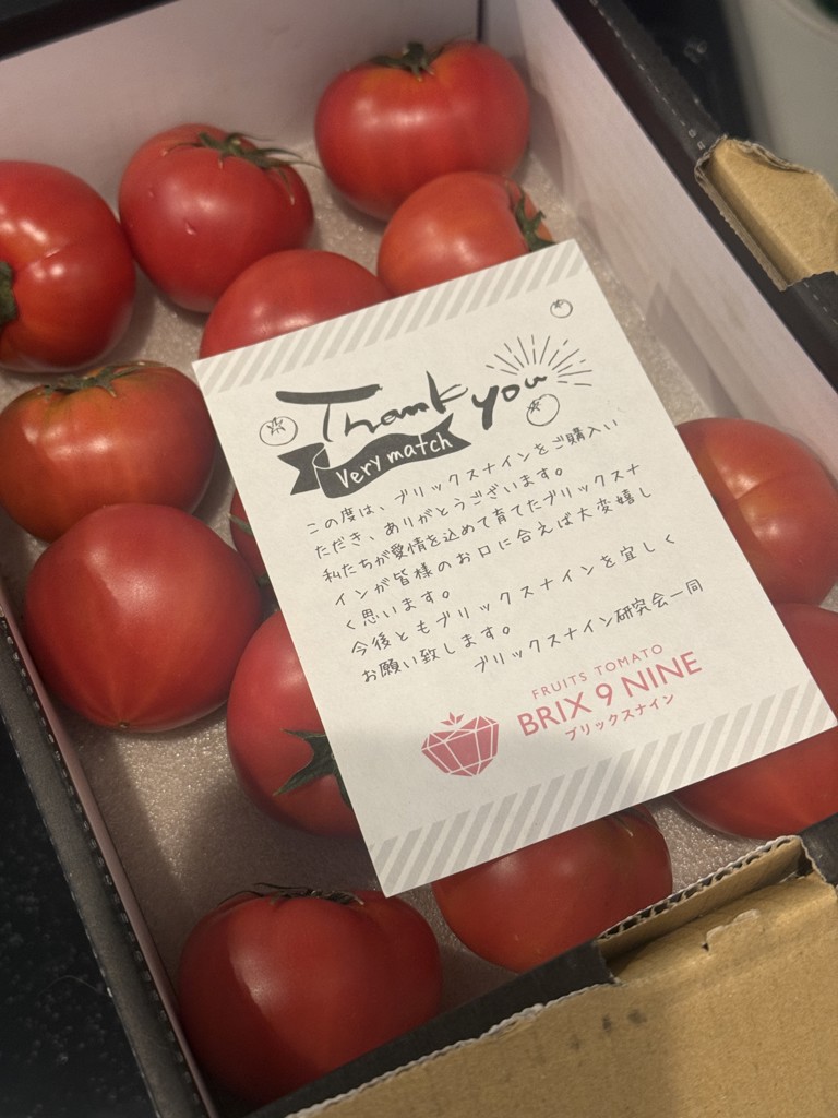 2箱セット ぐんまの誇る「フルーツトマト”ブリックスナイン”」（JAに