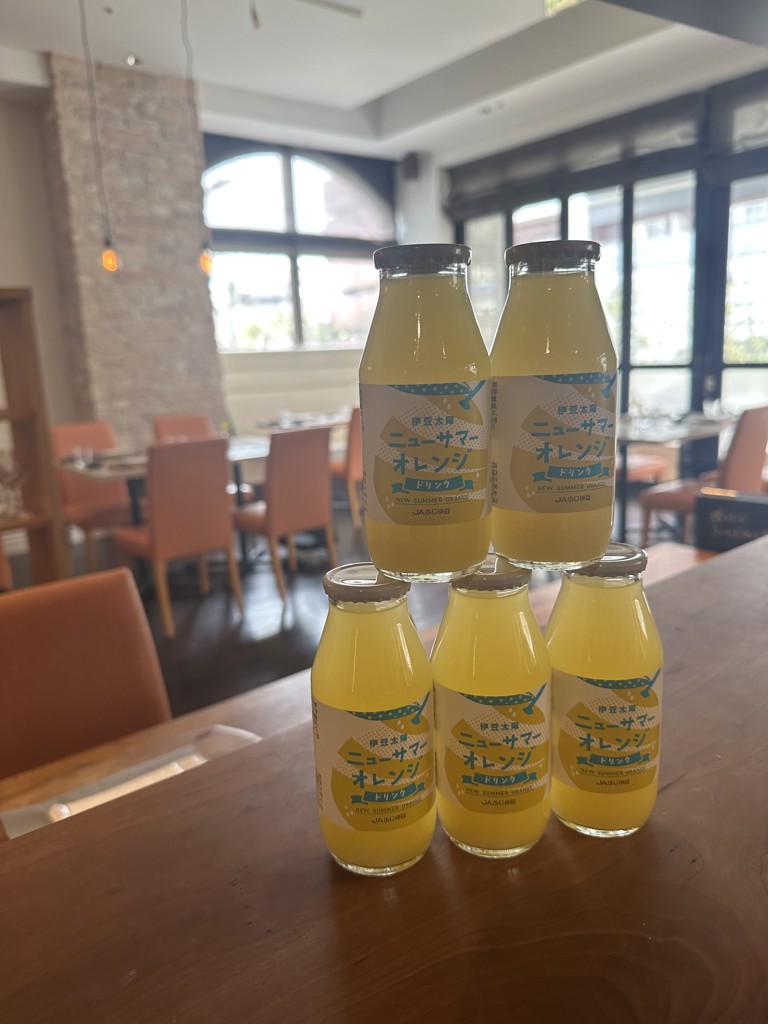お得用！ニューサマーオレンジドリンク1箱20本入り JAふじ伊豆