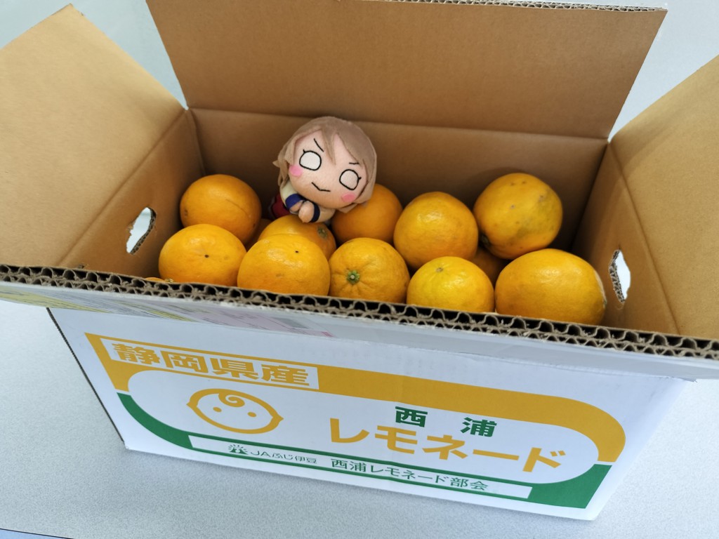 西浦レモネード約5kg JAふじ伊豆: しずおか『手しお屋』|【JA