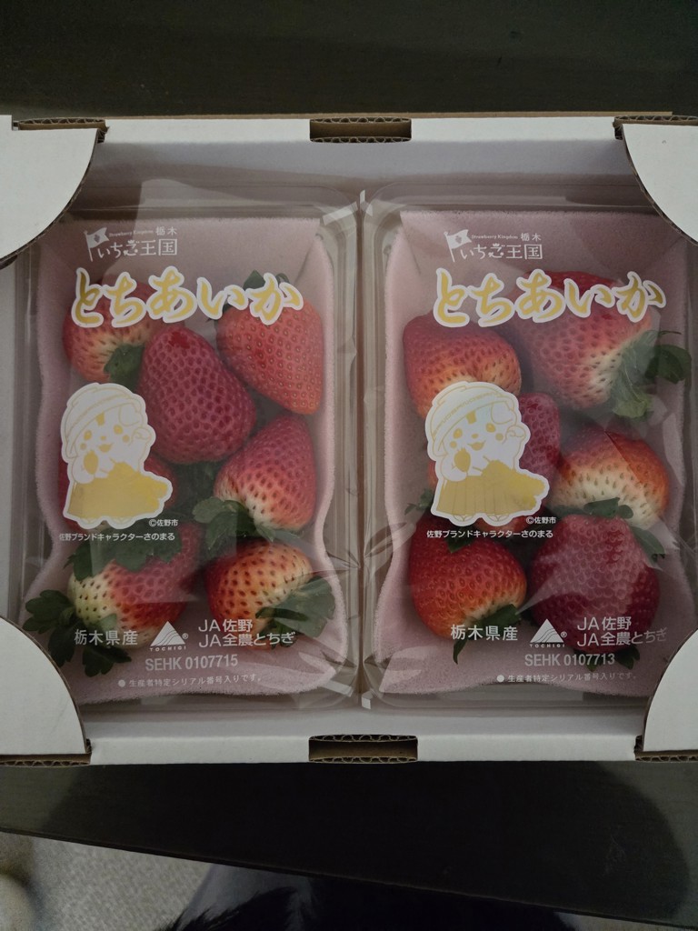 苺 とちあいか（280g×2パック）栃木県 JA佐野産: とちぎ新鮮倉庫