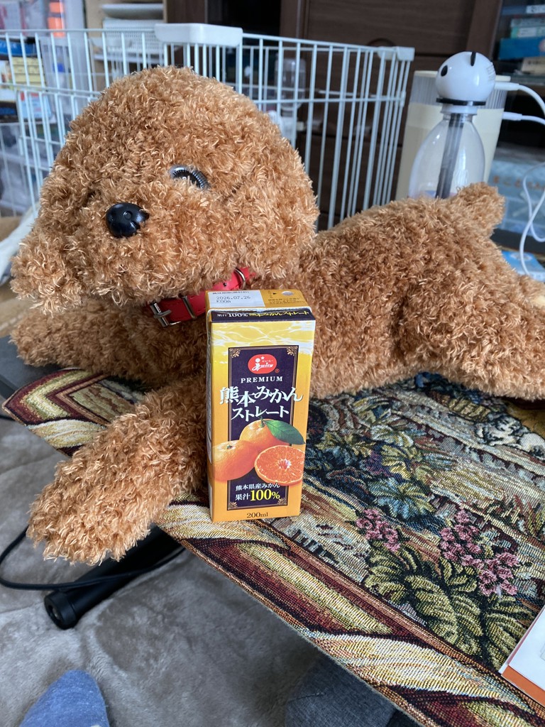 熊本みかんストレート100％: |【JAタウン】産地直送 通販 お取り寄せ