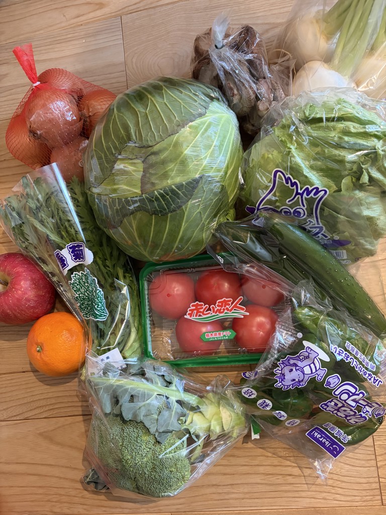 山形市場厳選】おまかせ 野菜セット 10品目 野菜BOX: JAてんどう