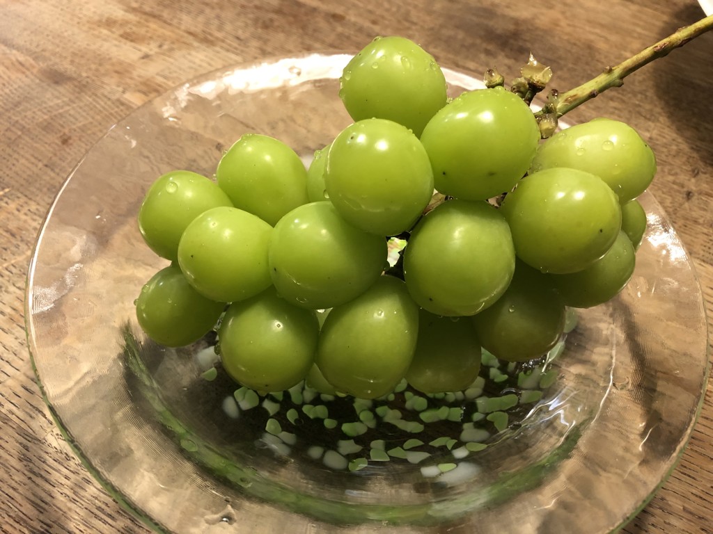 JAグリーン長野 シャインマスカット 6房(約3kg)【贈答箱】2期:10月1日