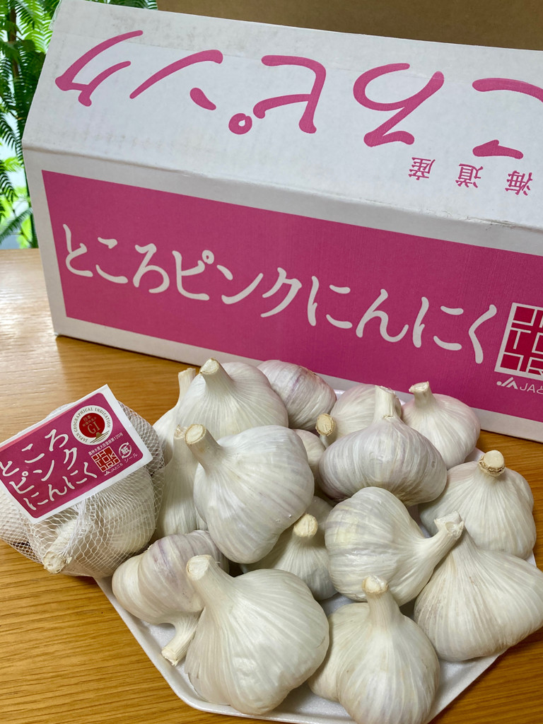 JAところ ところピンクにんにく L約4㎏ 《9月上旬～発送開始