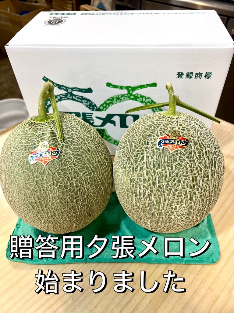 夕張メロン 優品2玉: JA夕張市|【JAタウン】産地直送 通販 お取り寄せ