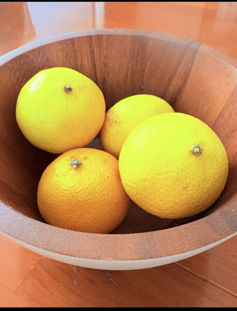 湘南ゴールド（約3kg）MSサイズ: JA全農かながわ|【JAタウン