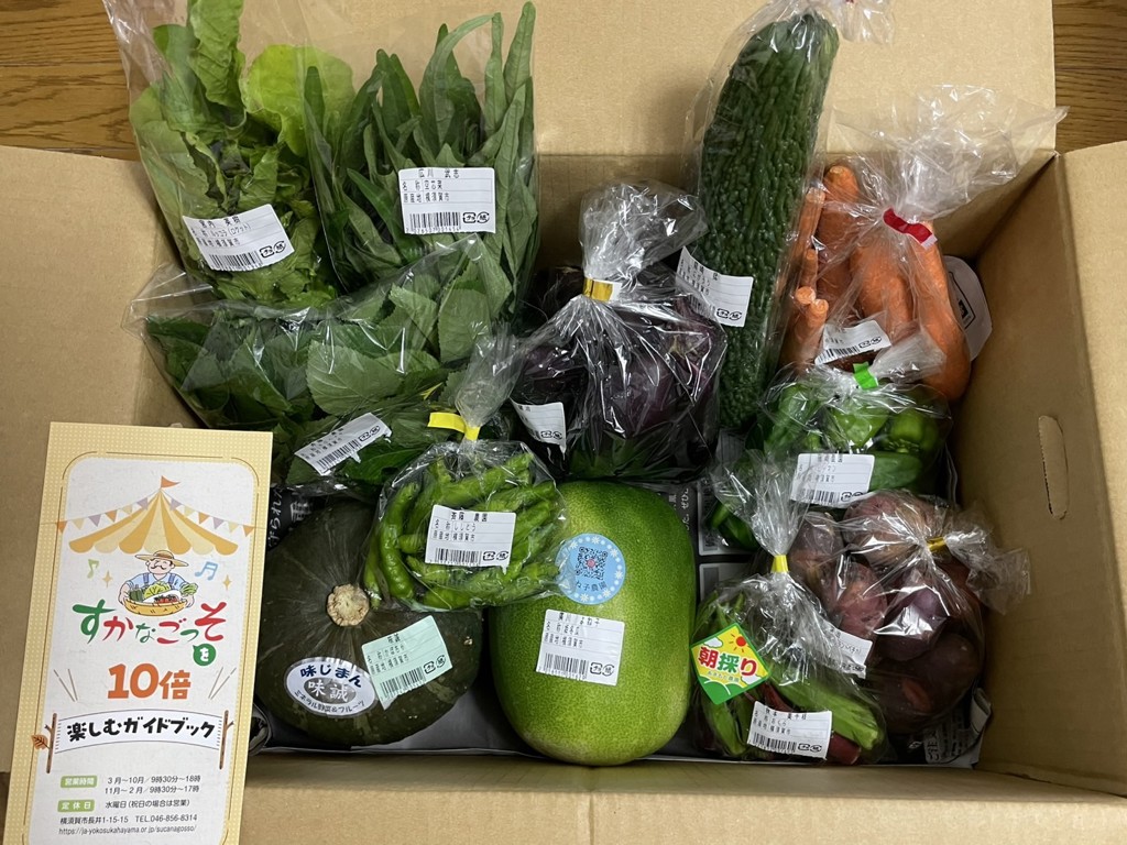 三浦半島特産品】すかなごっそ 季節のよこすか野菜セット（4月上旬～10