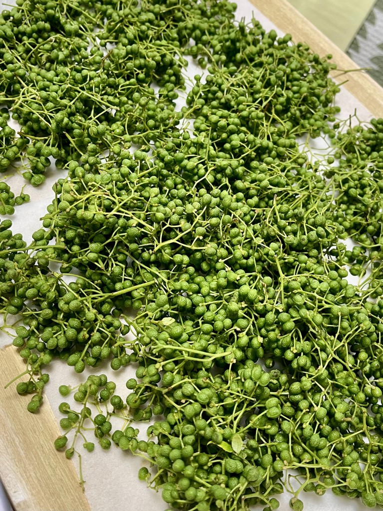 数量限定・予約販売】採りたて 伊吹の実山椒 約1kg: 近江の味彩|【JA