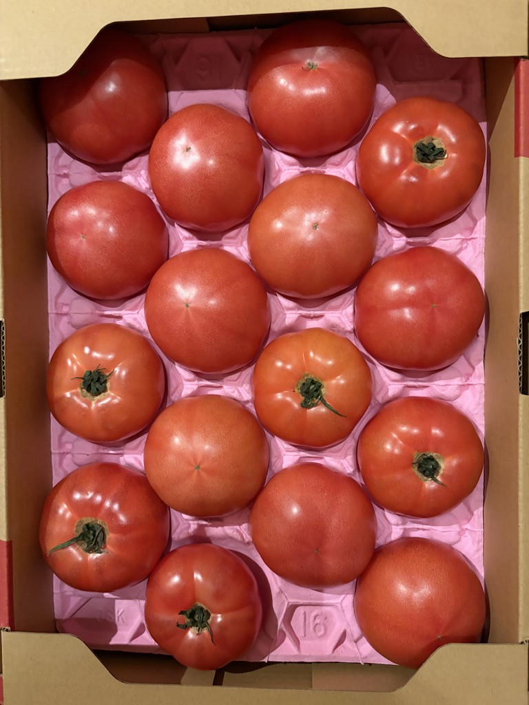 ◎JA筑前あさくら トマト『感激73』（B品）約4㎏ ※1月末～順次出荷予定