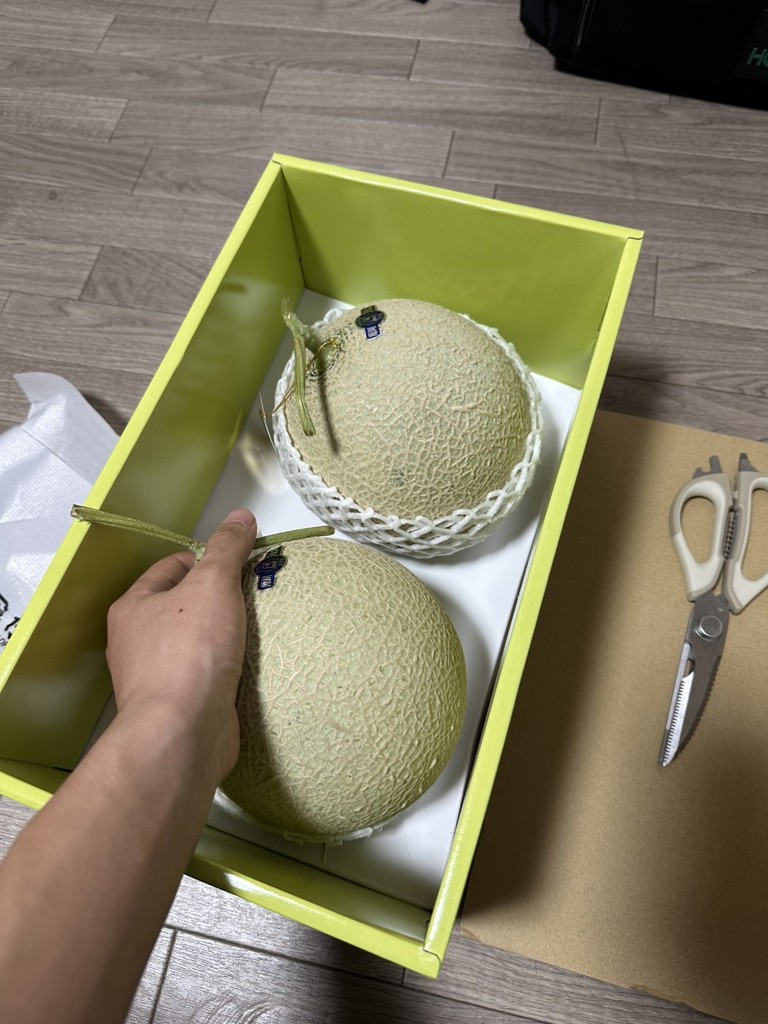 石川アールスメロン 2玉 (無印3L 化粧箱入り): かが・のと味自慢