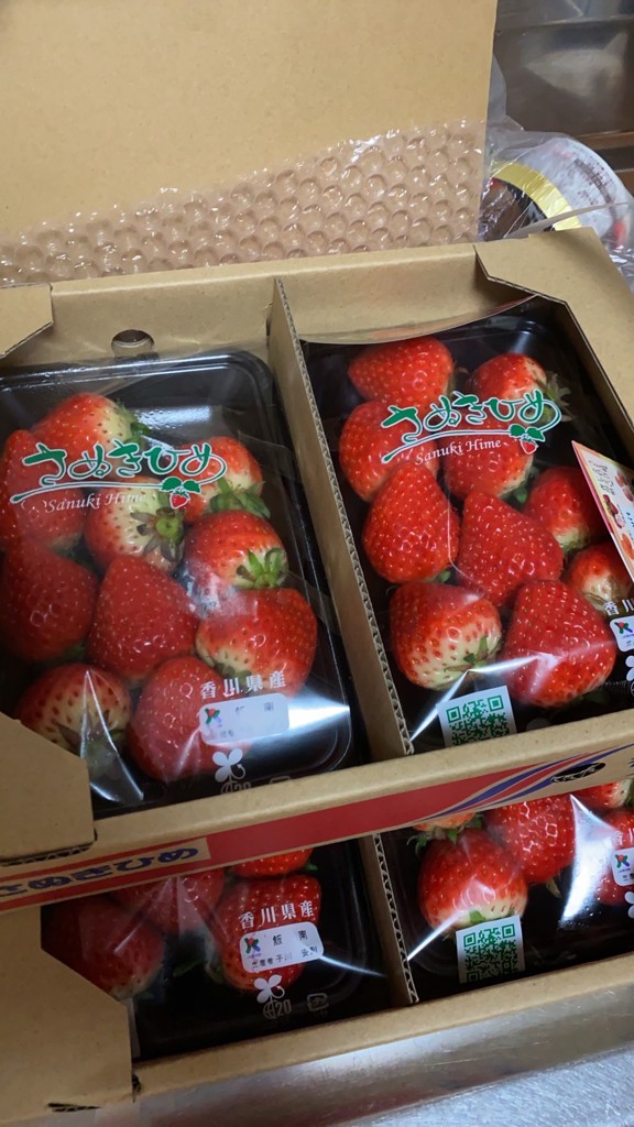 苺 さぬきひめ 1kg(250g×2P)×2箱/2L: さぬき旬彩館|【JAタウン