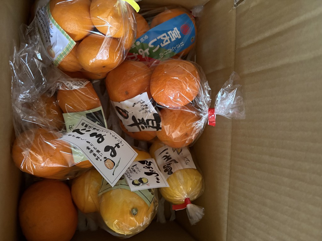 さいさいきて屋「旬の柑橘食べくらべセット」（柑橘3～5種類のセット