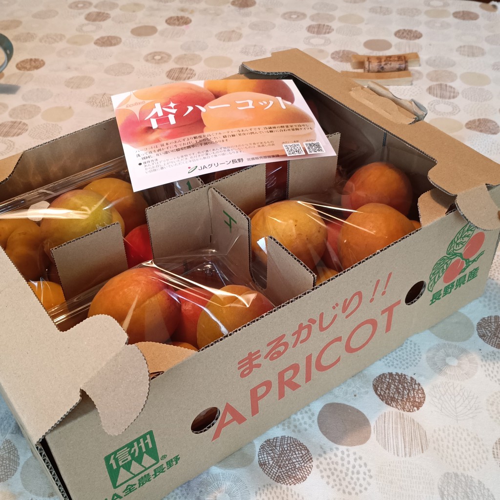 JAグリーン長野 生食用あんずハーコット 1箱(約500g×4パック) 6月19日