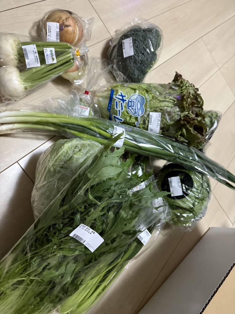 お野菜レスキュー！BOX①（六甲のめぐみ）: あつめて、兵庫。|【JA