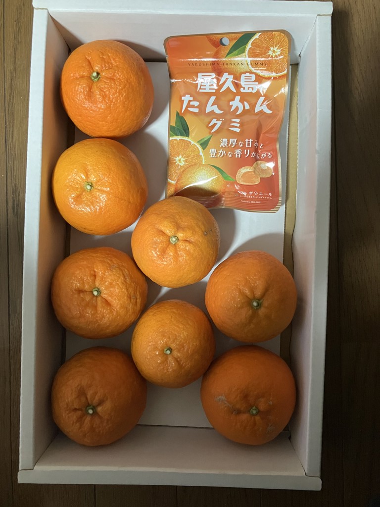 屋久島たんかん2.2kg【関東より発送】: JA鹿児島県経済連 鹿児島の味