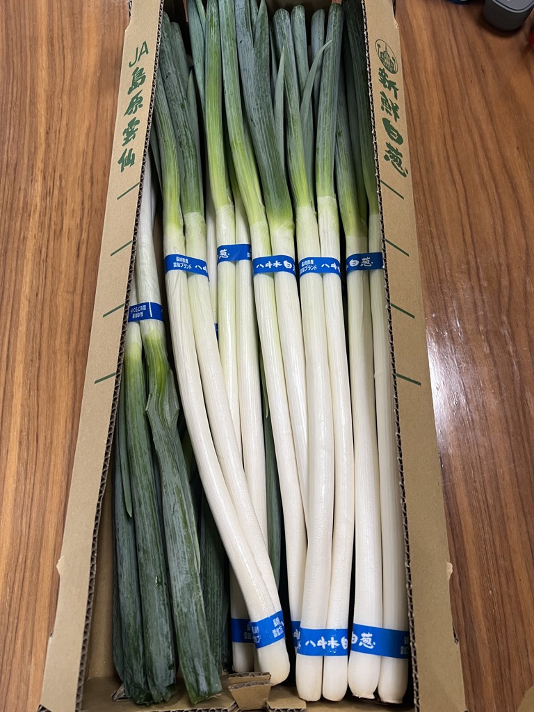 長崎県産 八斗木葱（白ネギ）（JA島原雲仙）約3kg: もぐもぐながさき