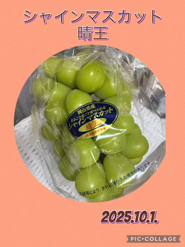 岡山県産シャインマスカット晴王 1房 t-20-fb600-01.jpg