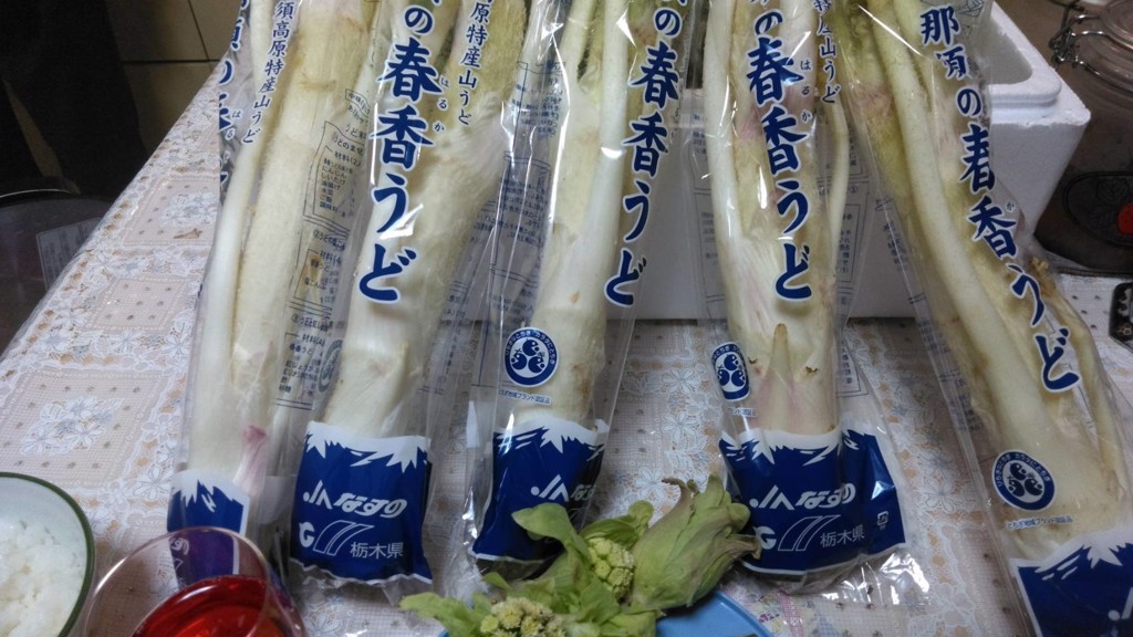 那須の春香うど 山うど (約2kg/6本入) 栃木県JAなすの産: とちぎ新鮮