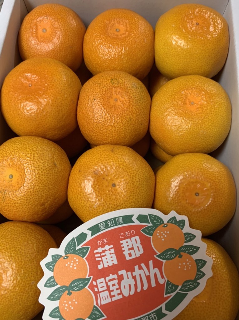 産地直送 通販 お取り寄せ蒲郡温室みかん 秀s2kg のし対応不可 あいちゴコロ ｊａタウン