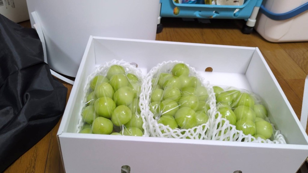 山梨県産】シャインマスカット 約1.8kg 3房入り 9月上旬～中旬お届け