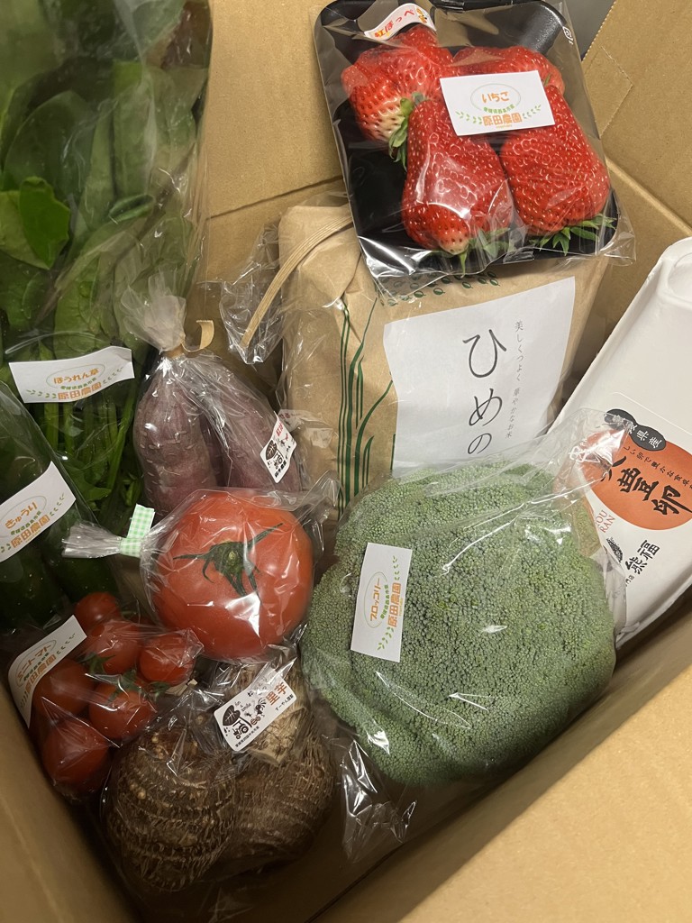 totomon様 野菜セット お米3kg 卵2 たべとうみん旬菜ボックスCセット（季節の野菜、卵7個+割れ補償3個入
