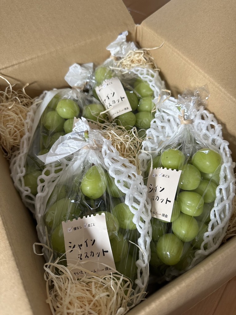 シャインマスカット・須金(すがね)ぶどう」 9/15(日)頃～順次発送  