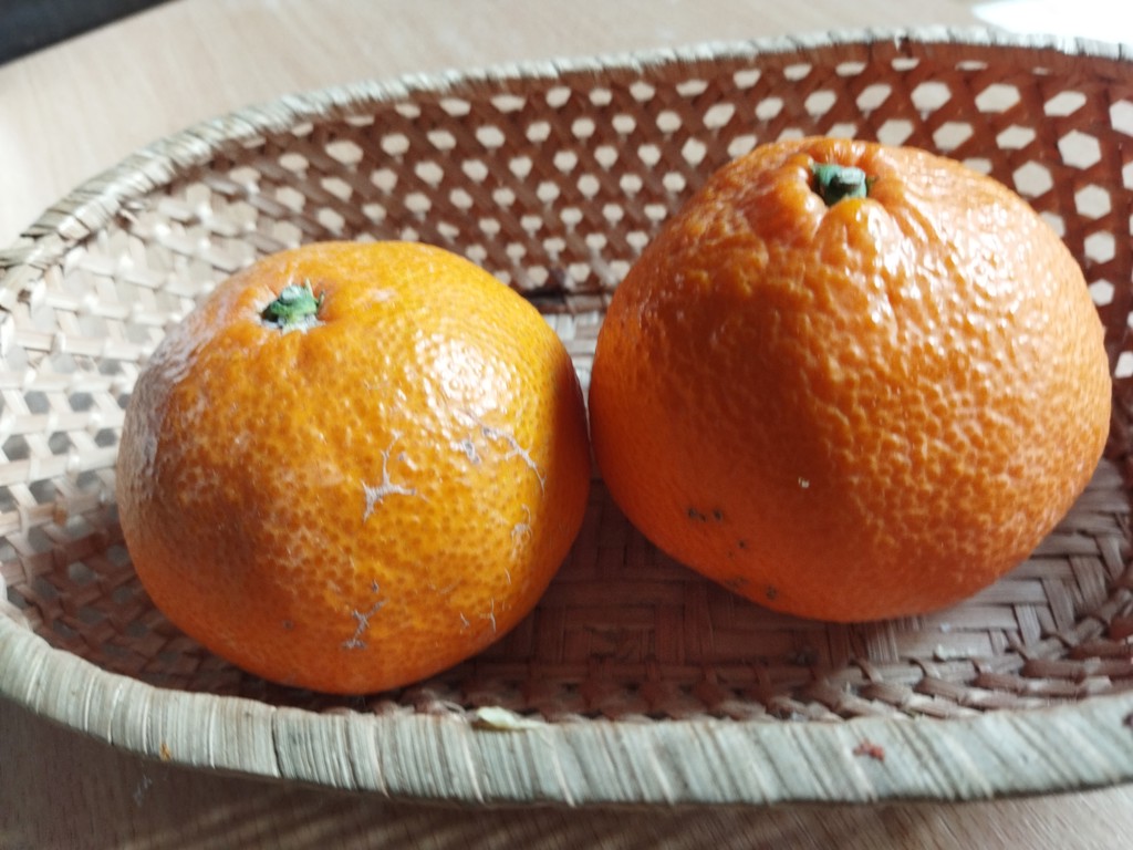 現物発送‼️写真2枚目参照‼️和歌山県産　南高梅　大玉3Lサイズ5Kg みかんキング 和歌山県産 JA紀州 みなべの南高梅 3Lサイズから2Lサイズ 秀品 約2キロ