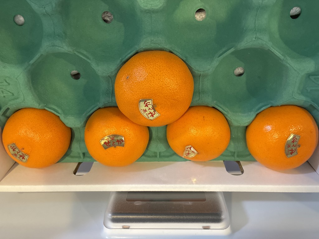 せとか L(14玉)～2L(12玉) 2月7日頃より順次発送: とさのさとアグリ