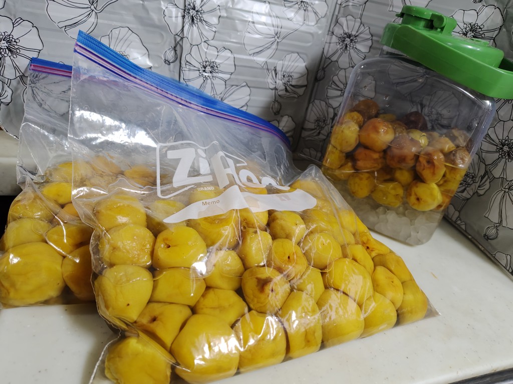 10Kg ぐんまの梅”白加賀” ＜2Lサイズ以上・約10kg＞（JAはぐくみ