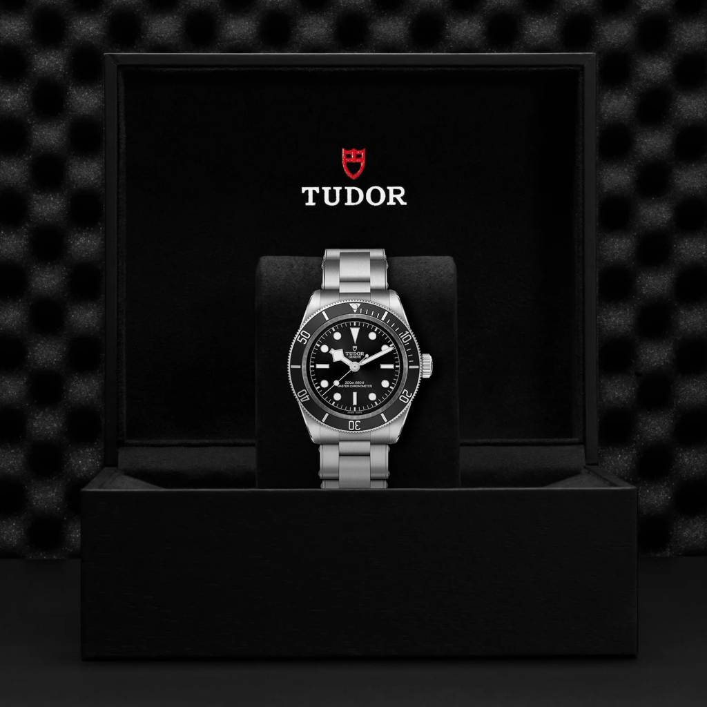 TUDOR Black Bay チューダー ブラックベイ41 7941a1 値下 チューダーブラックベイ（M7941A1A0RU-0001） | BLACK BAY | TUDOR