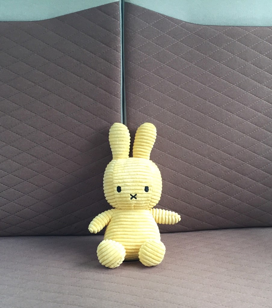 hope専用‼BRUNO miffy FIRST LIGHT MIFFY AND FRIENDS ミッフィーの通販 | BRUNO online