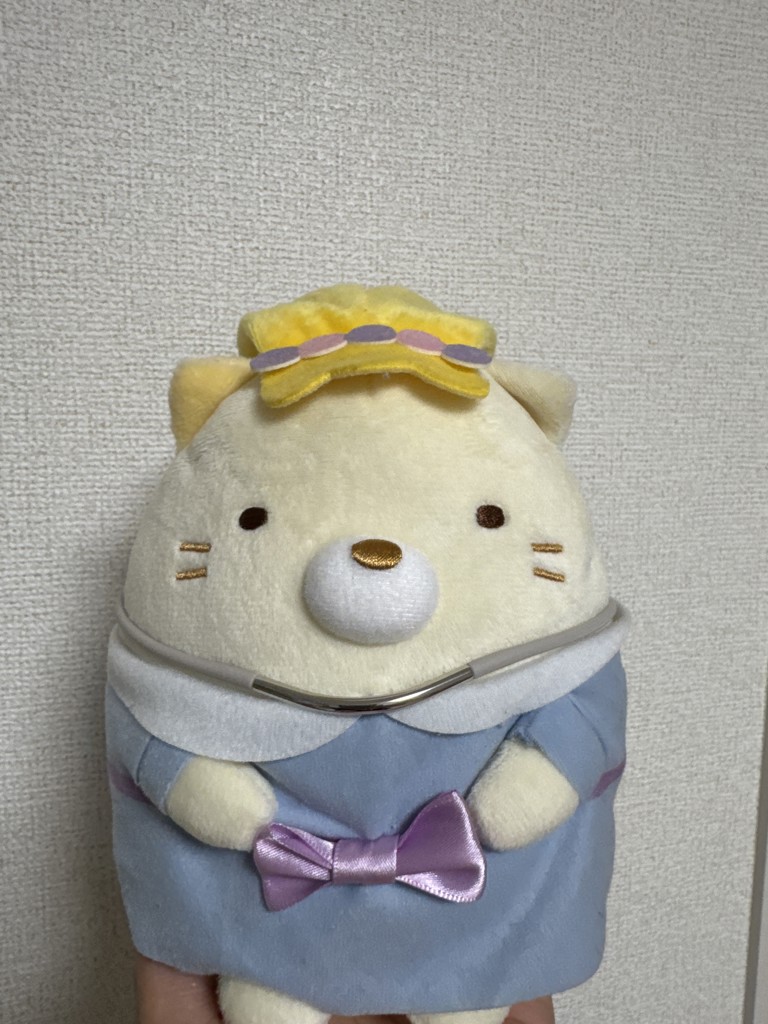 投稿写真