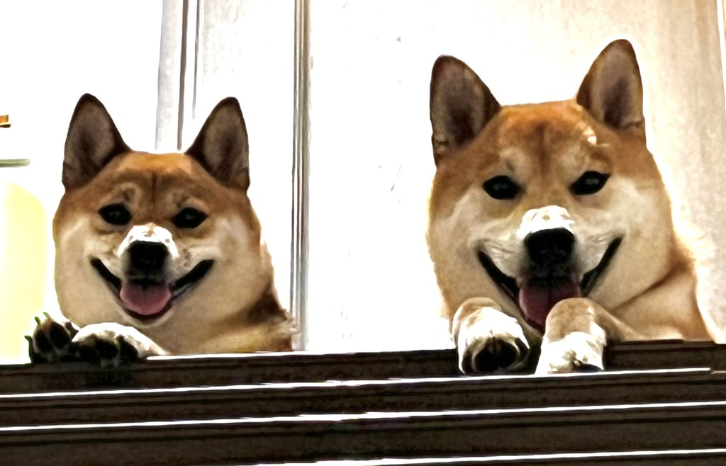 こたなる