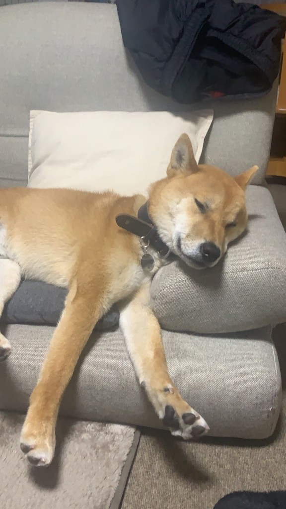 しば