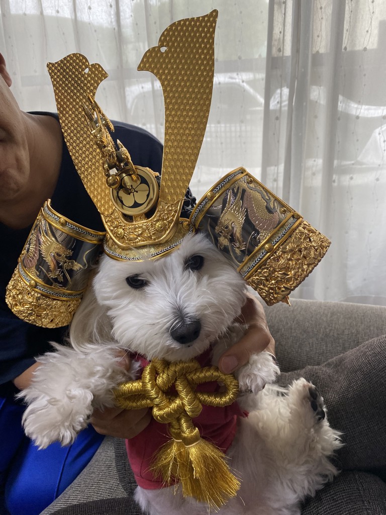 のんまみー