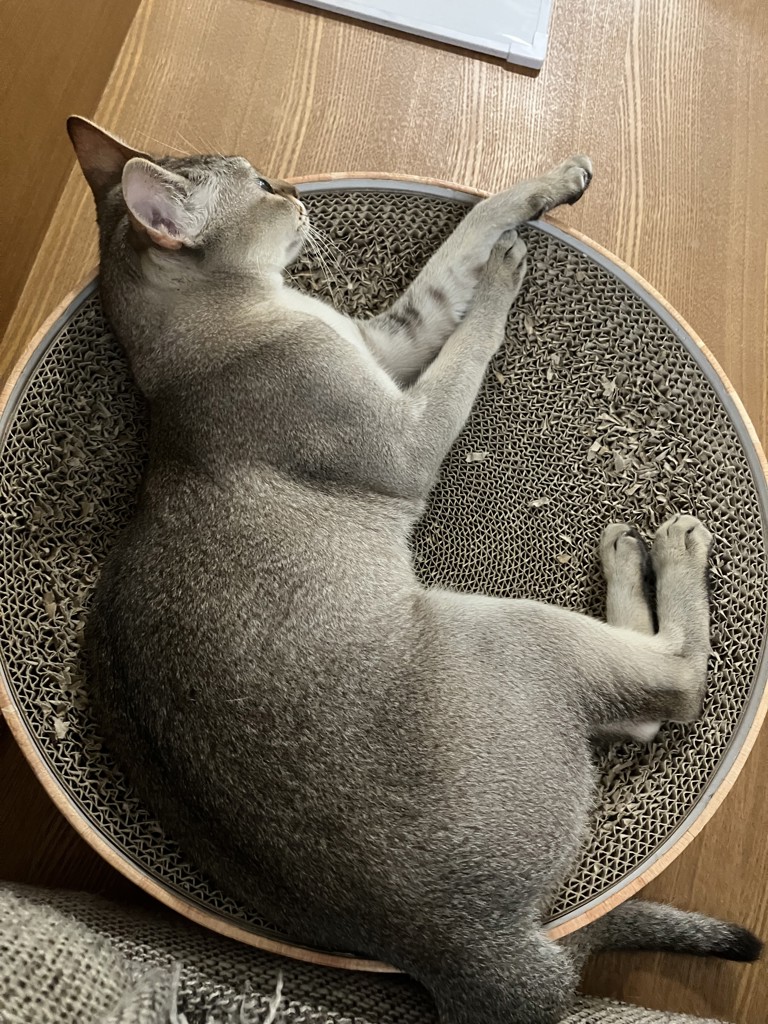 no name