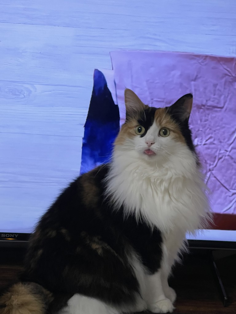 ユーザーアイコン