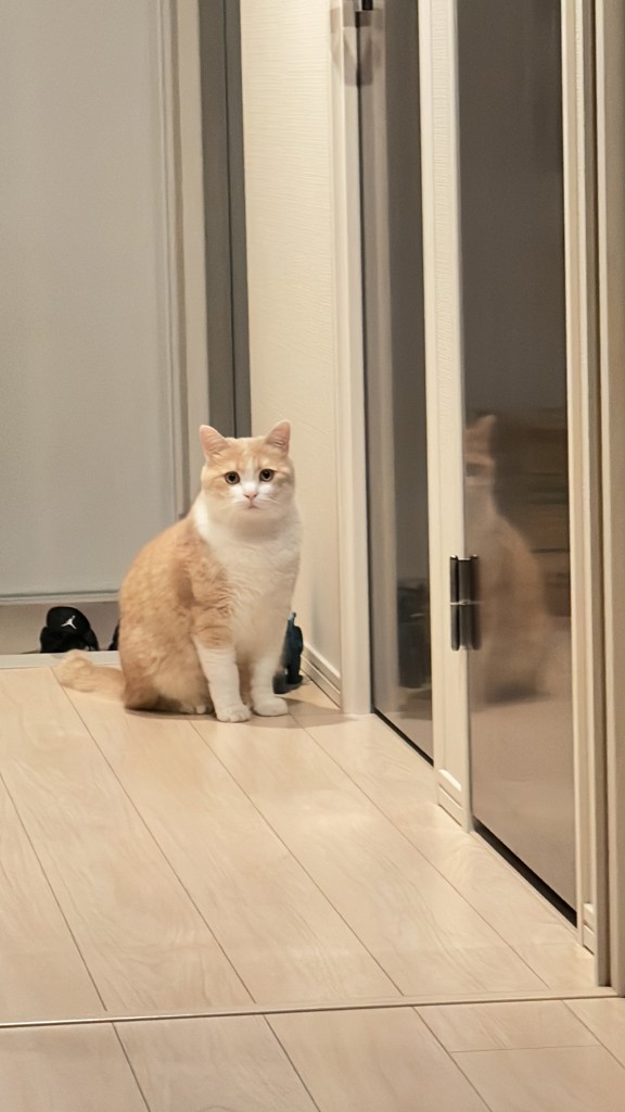 no name